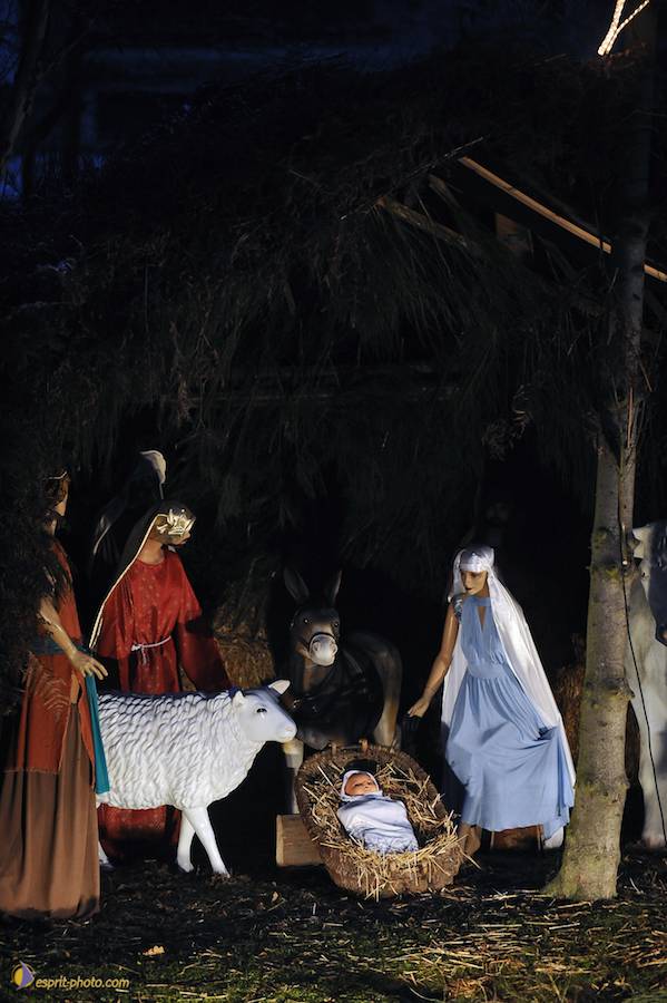 Nom de l'image : D30039548_1_(c)Norbert-JUNG — Description :